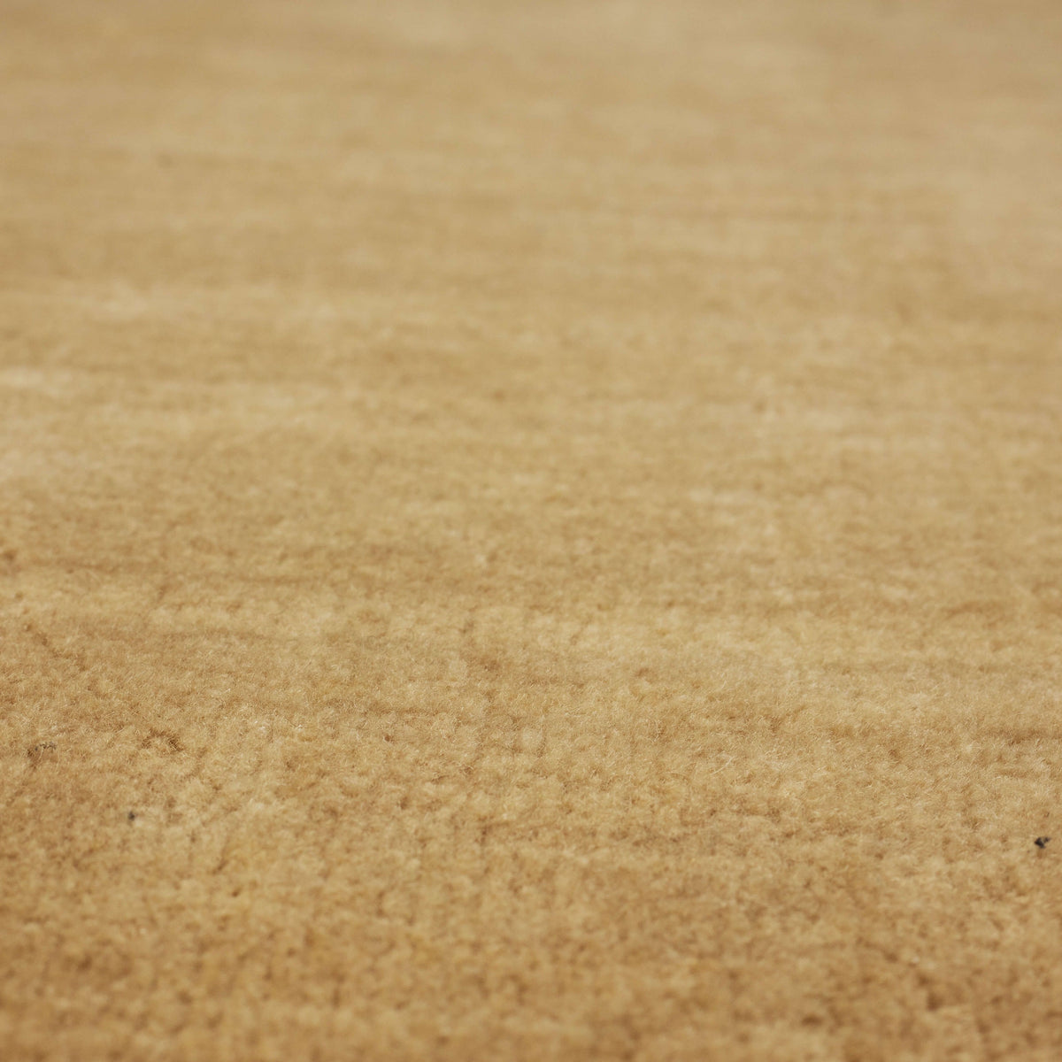 Hudson Camel Area Rug