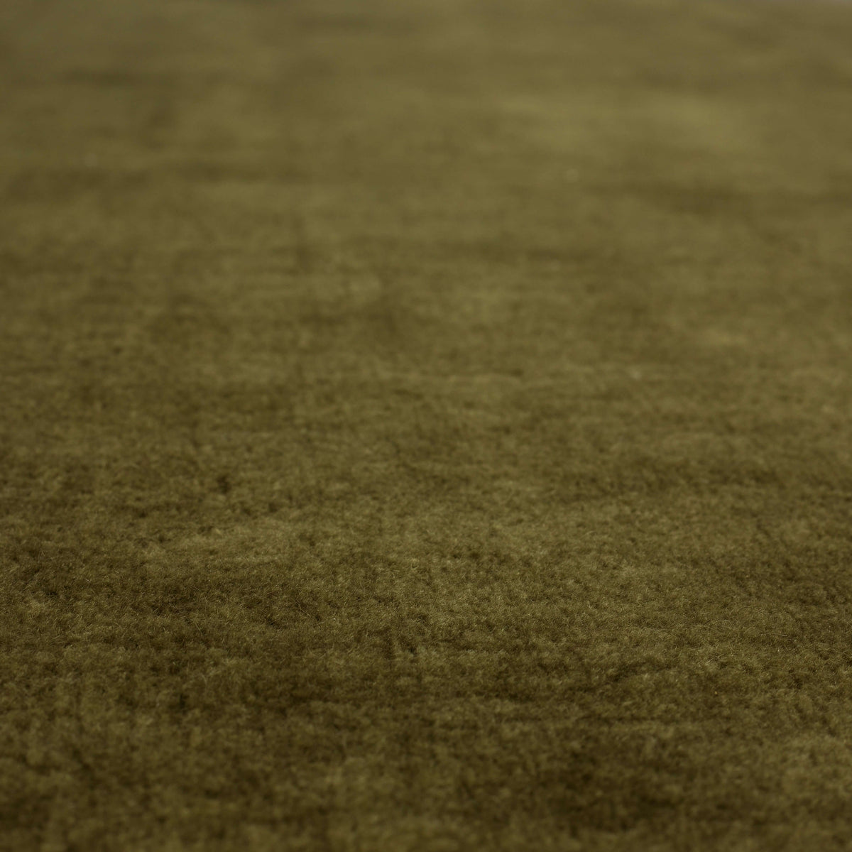 Hudson Moss Area Rug