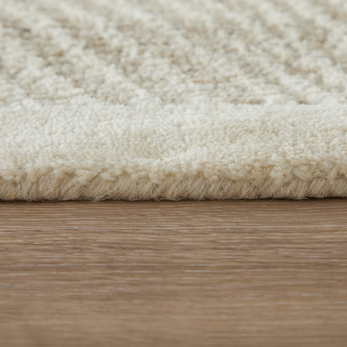 Winston Modern/Nautical & Coastal Floral & Botanical/Bordered/Abstract Ivory - Feizy Rug