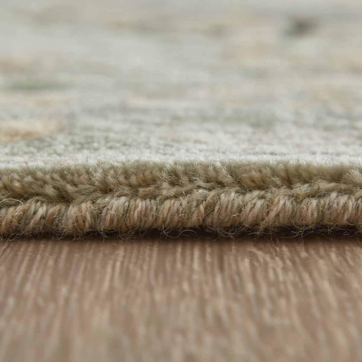 Jaxson Traditional/Vintage Floral & Botanical/Bordered/Distressed Green/Gold/Tan - Feizy Rug