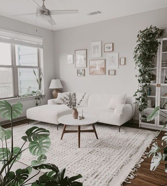 How to Choose the Right Area Rug for Your Home