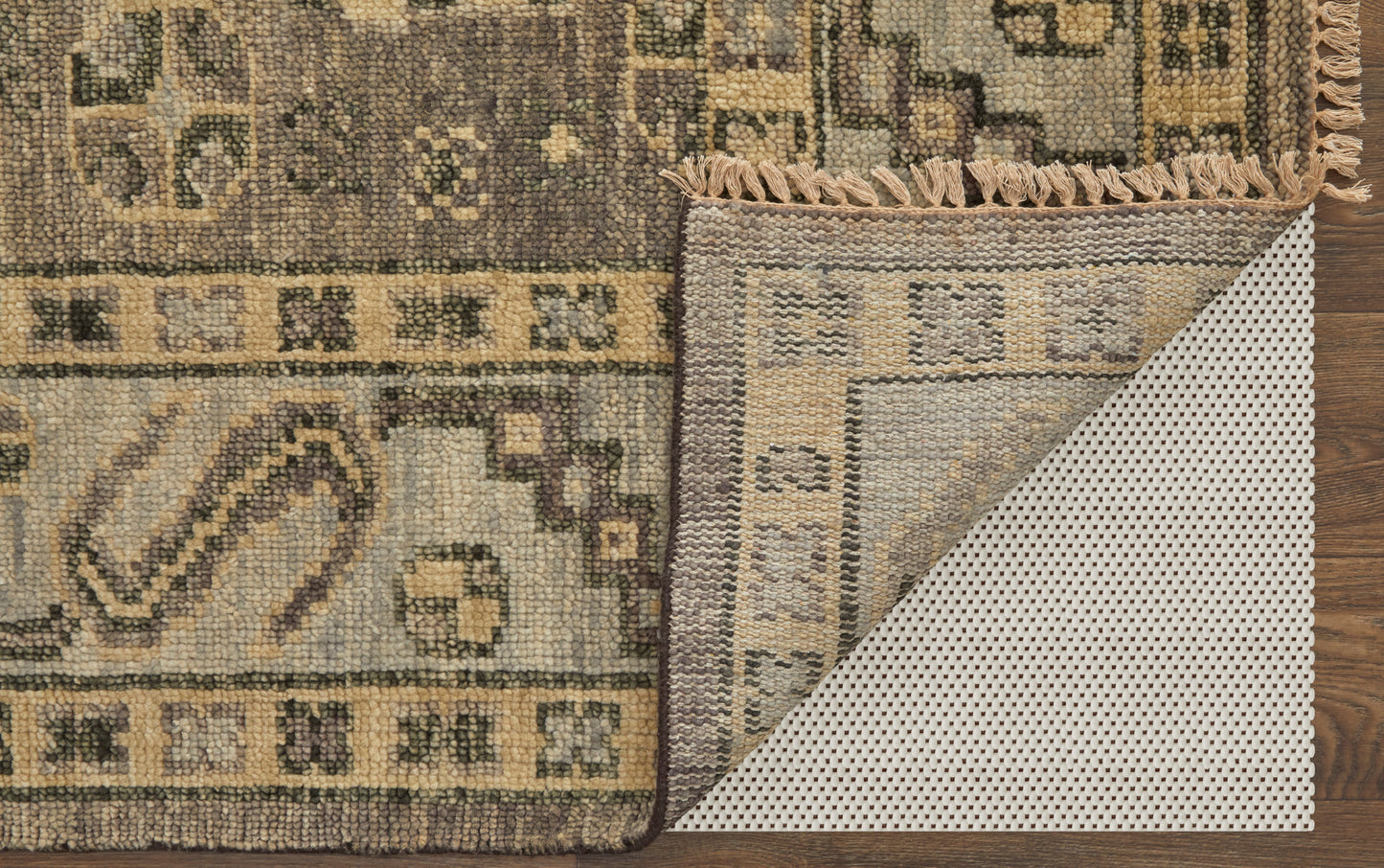 Fillmore Traditional/Classic Brown/Gray Accent Rug