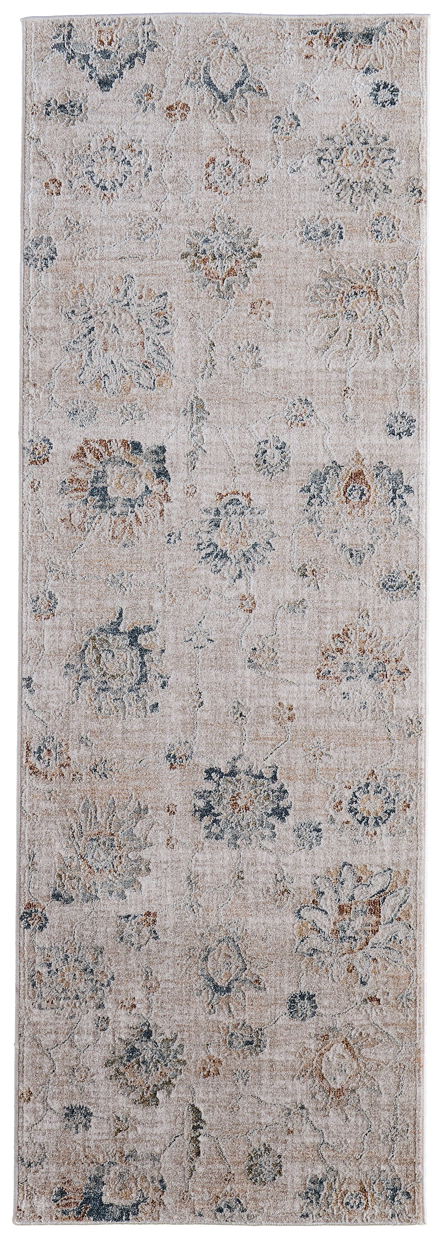 Pasha Transitional/Bohemian & Eclectic/Cottage Floral & Botanical/Distressed Taupe/Ivory/Blue - Feizy Rug