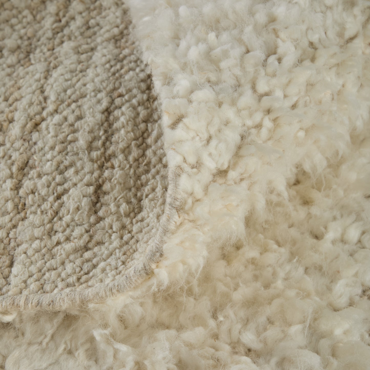 Ashby Transitional/Mid-Century Modern/Casual Ivory Area Rug