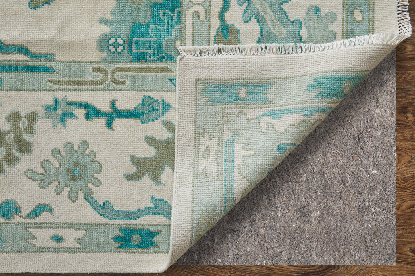 Karina Transitional/Craftsman/Casual Floral & Botanical/Scroll/Bordered Green/Ivory - Feizy Rug