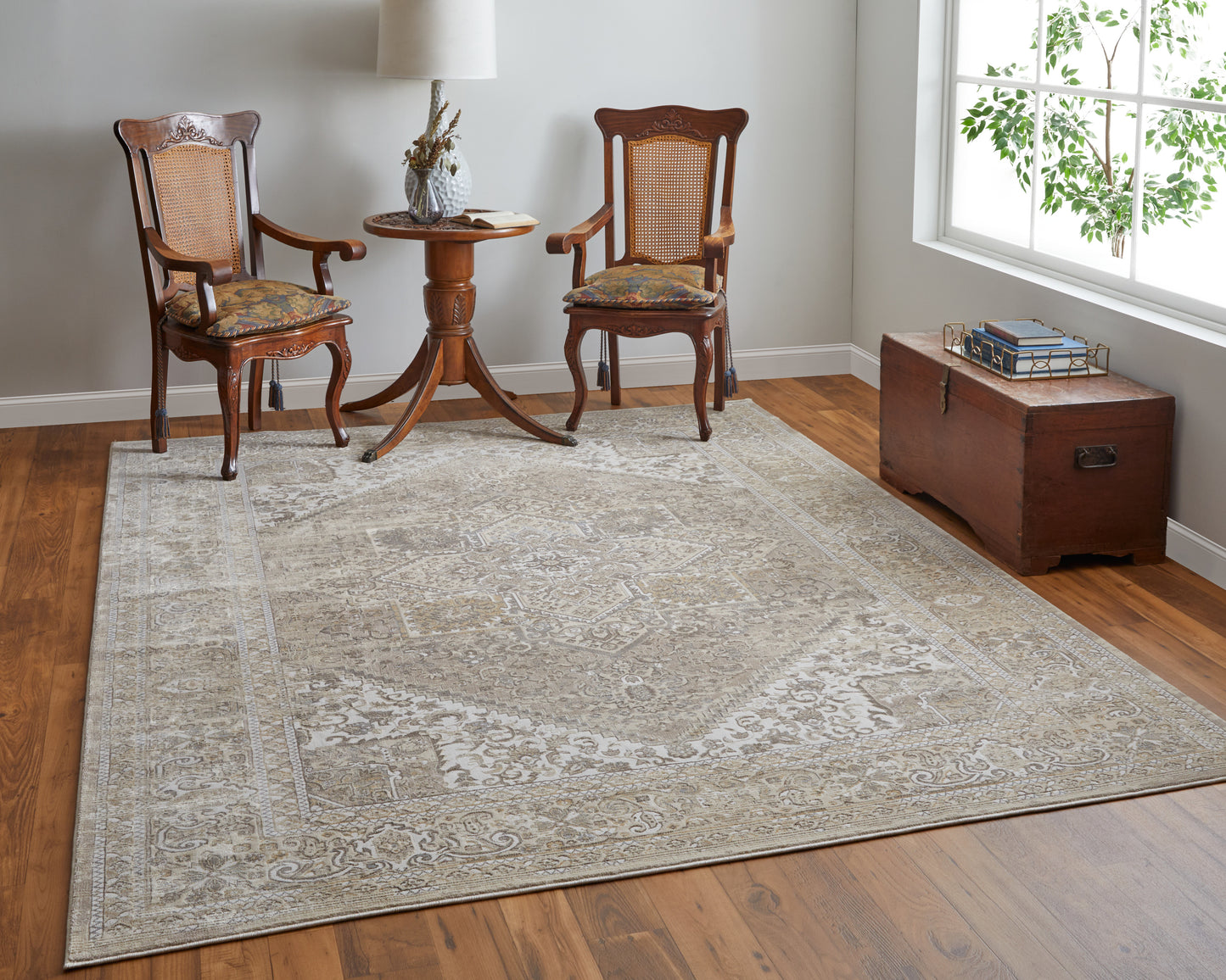 Celene Traditional/Vintage/Casual Brown/Ivory/Tan Area Rug