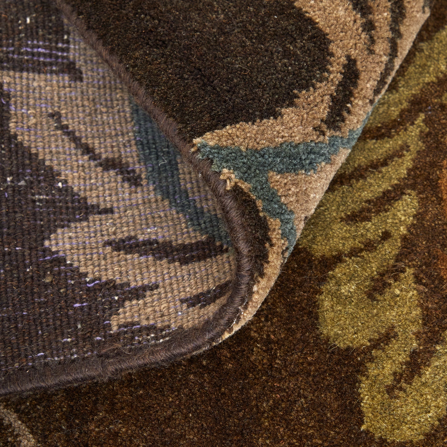 Amzad Transitional/Classic/Cottage Floral & Botanical/Paisley Brown/Tan/Green - Feizy Rug