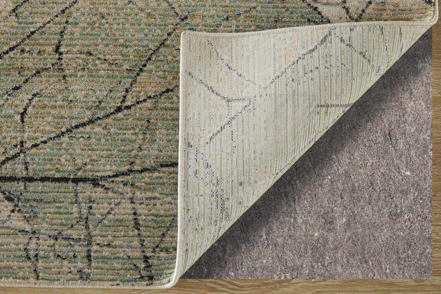 Sonora Modern/Industrial Abstract/Distressed/Floral & Botanical Green/Tan/Ivory - Feizy Rug