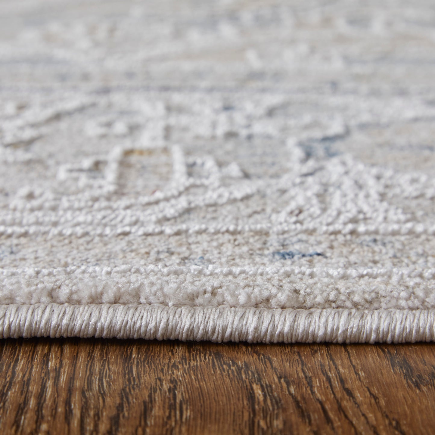 Pasha Transitional/Bohemian & Eclectic/Global Ivory/Taupe/Blue Area Rug