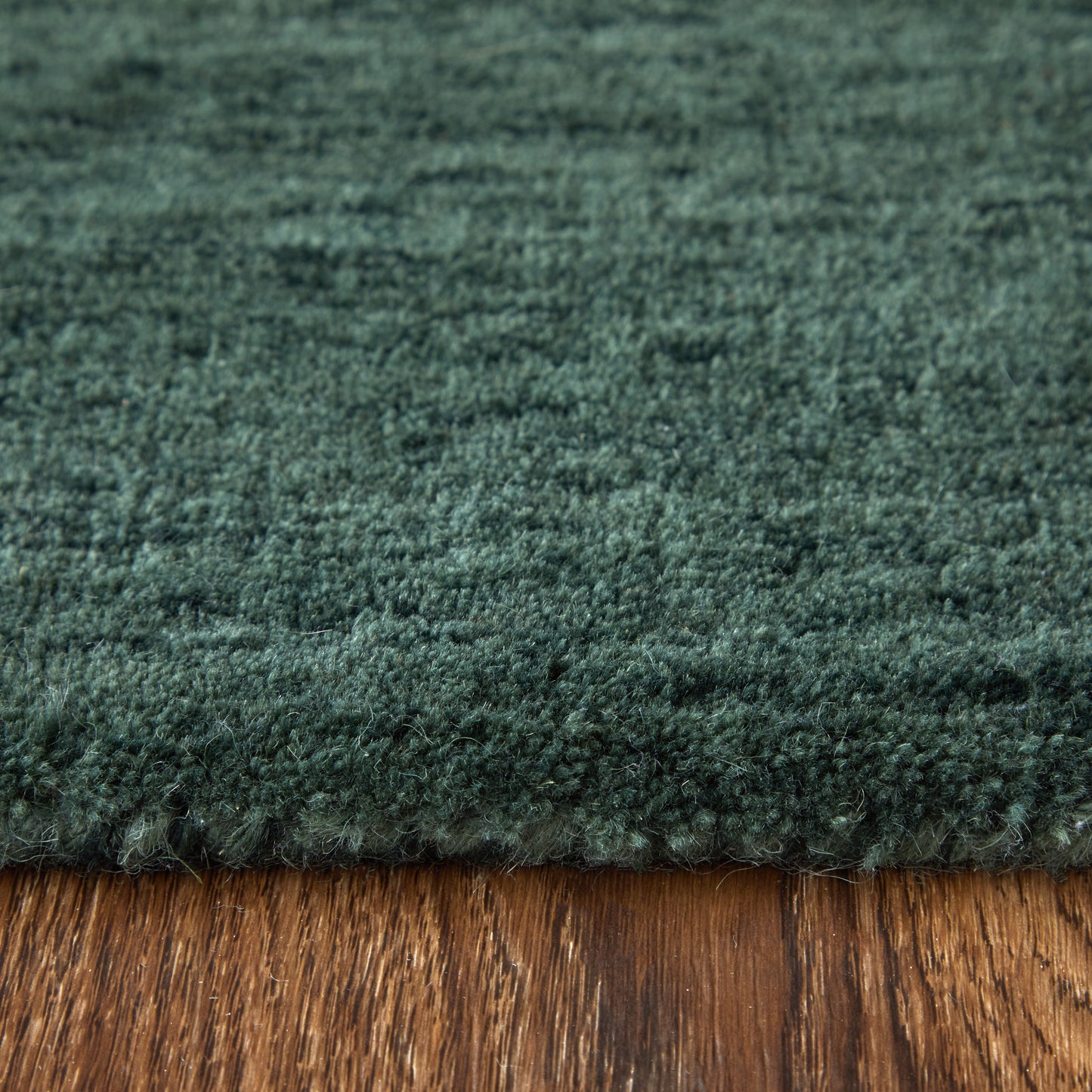 Luna Modern/Casual Green Accent Rug