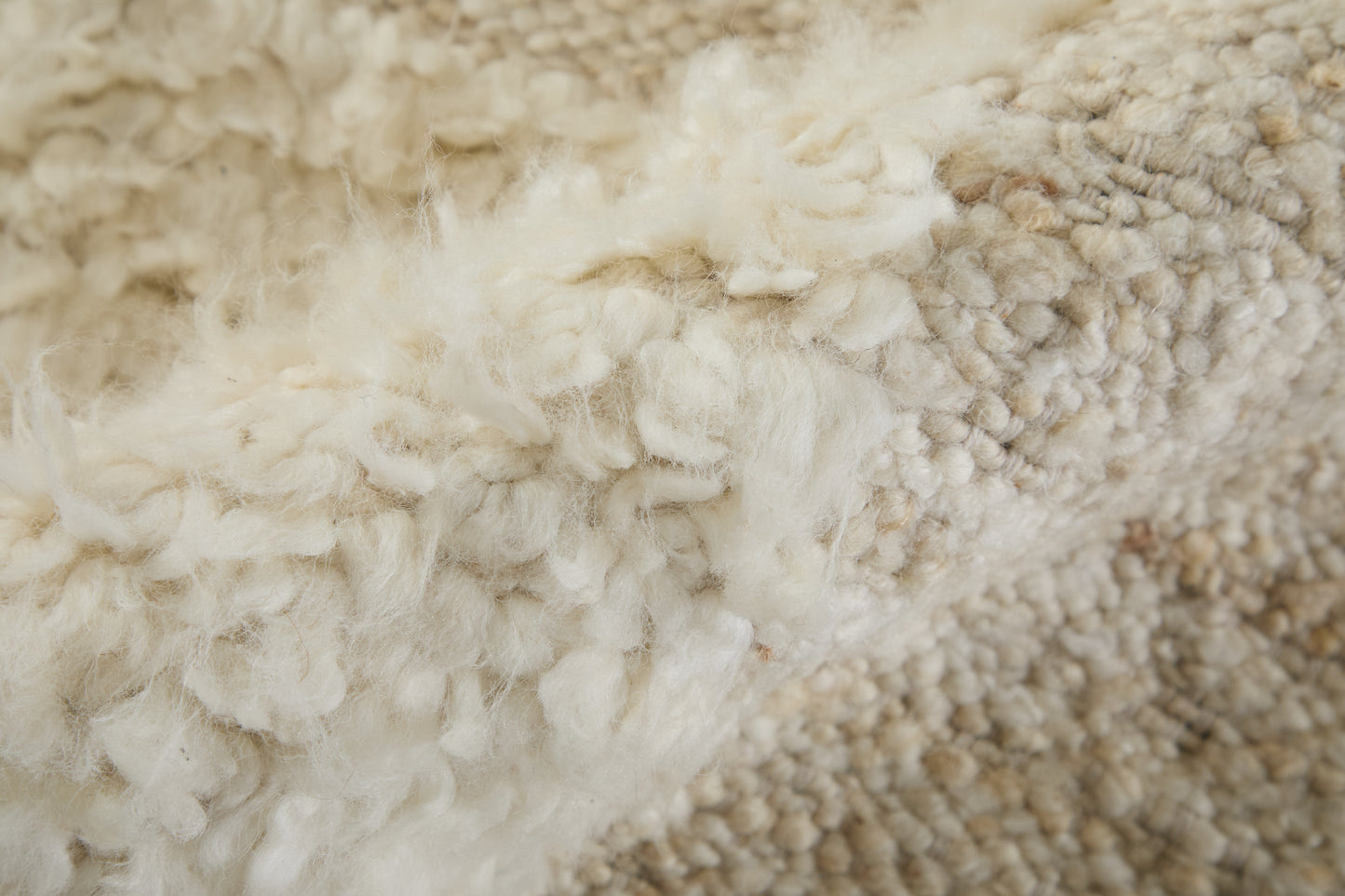 Ashby Transitional/Mid-Century Modern/Casual Ivory Area Rug