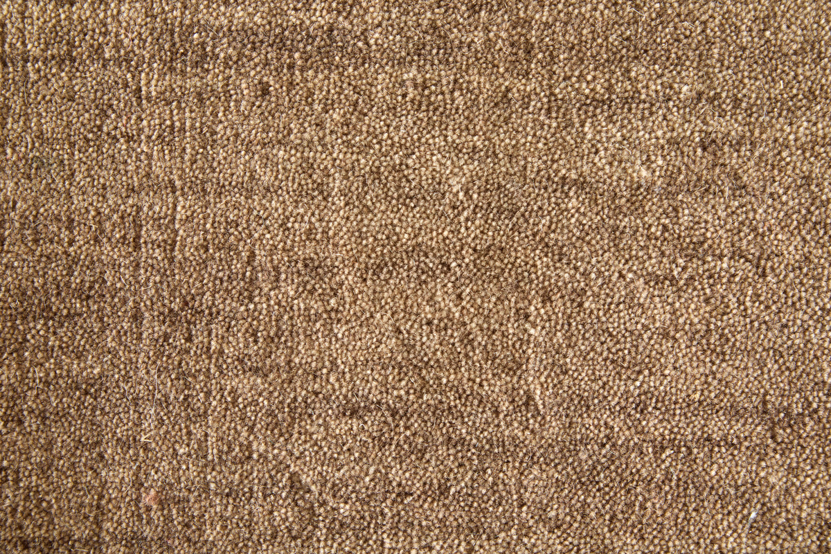 Luna Modern/Casual Solid Tan/Brown - Feizy Rug