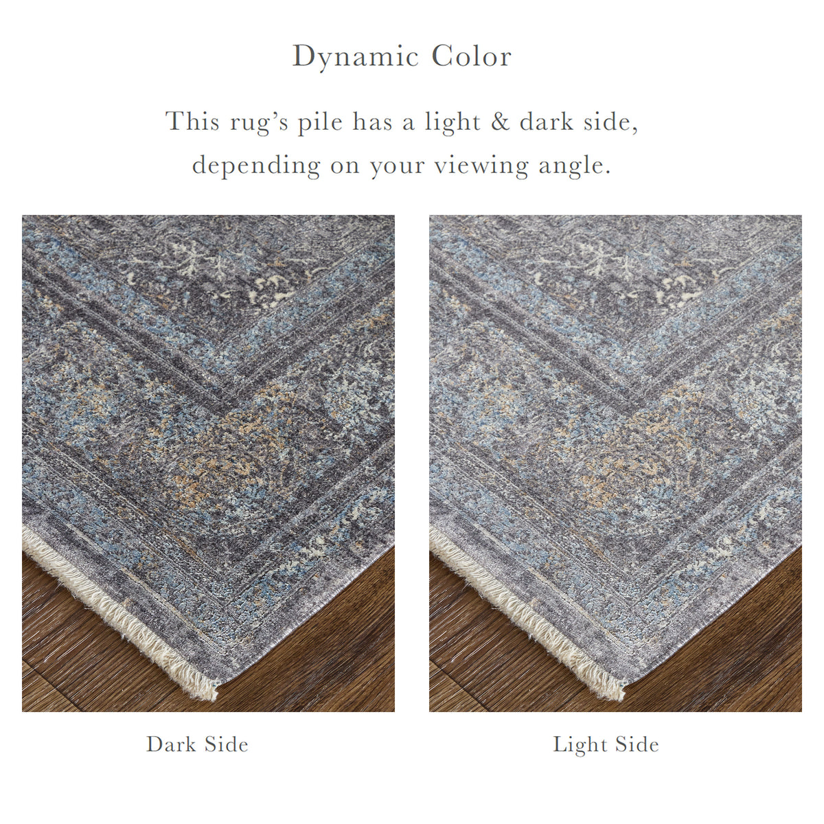 Sarrant Transitional/Bohemian & Eclectic/Casual Medallion/Distressed/Persian Gray/Silver/Ivory 3967 - Feizy Rug
