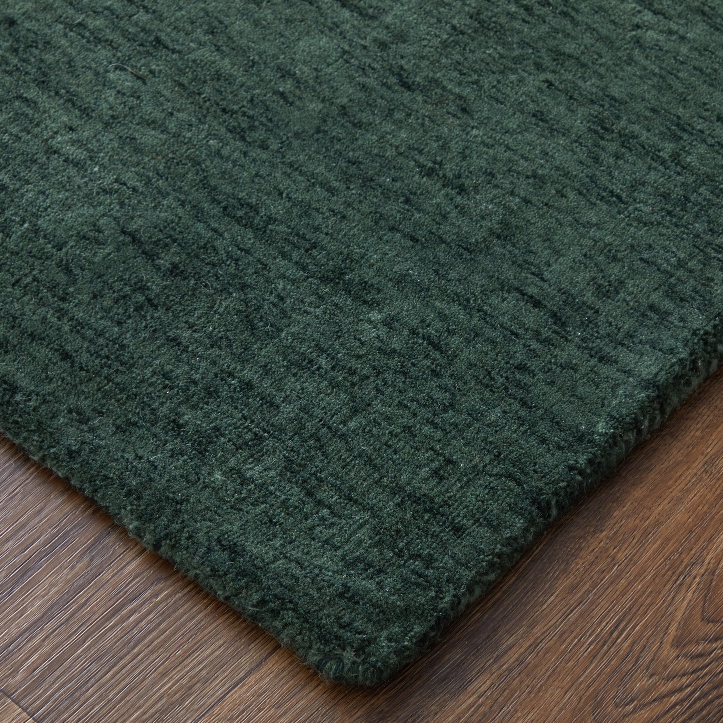 Luna Modern/Casual Green Accent Rug