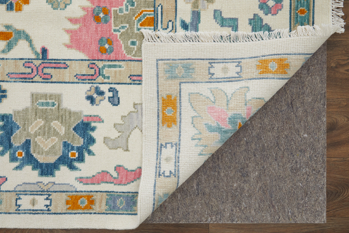 Karina Transitional/Bohemian & Eclectic/Craftsman Floral & Botanical/Bordered Ivory/Blue/Pink - Feizy Rug
