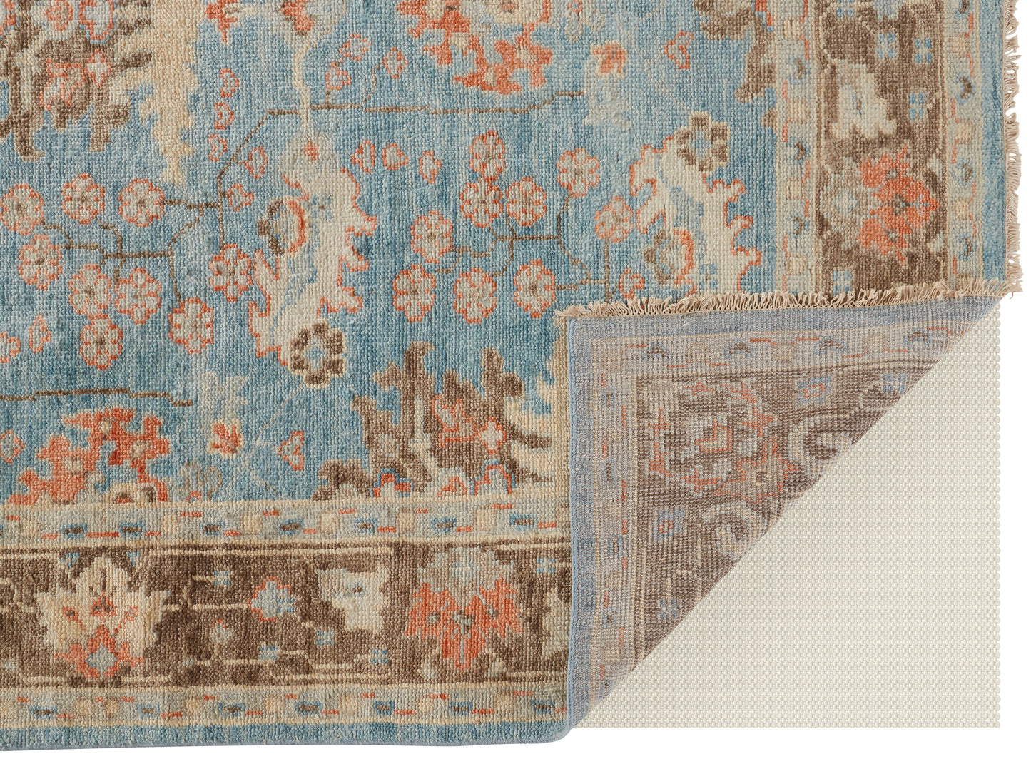 Beall Traditional/Rustic/Global Oriental/Floral & Botanical/Bordered Blue/Brown - Feizy Rug