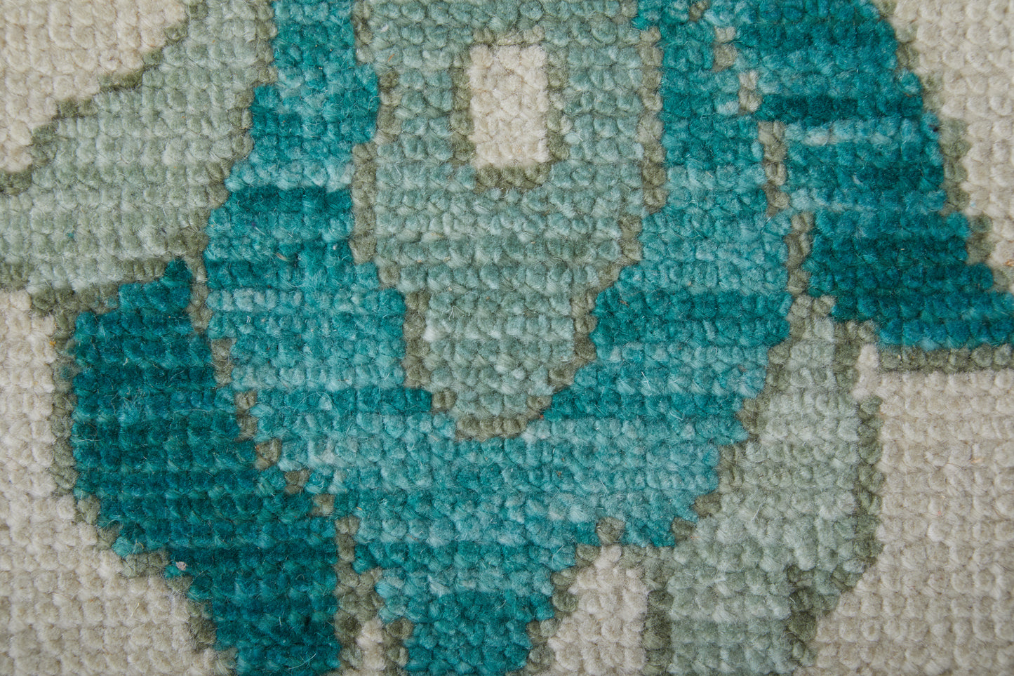 Karina Transitional/Craftsman/Casual Floral & Botanical/Scroll/Bordered Green/Ivory - Feizy Rug