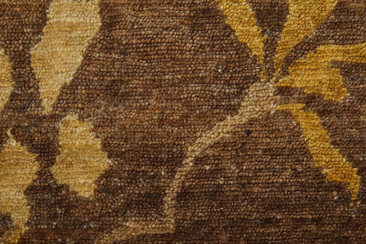 Cordonnet Transitional/Casual Floral & Botanical Green/Gold - Feizy Rug