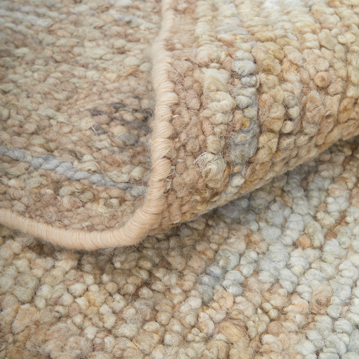 Grafton Transitional/Craftsman/Bohemian & Eclectic Floral & Botanical Tan/Gray/Ivory - Feizy Rug