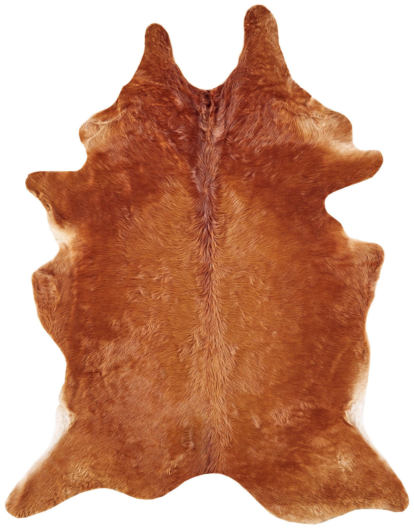 Bartlett Transitional/Cabin & Lodge/Rustic Animal Print Brown - Feizy Rug