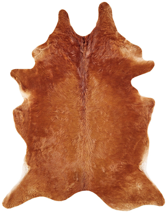 Bartlett Transitional/Cabin & Lodge/Rustic Animal Print Brown - Feizy Rug