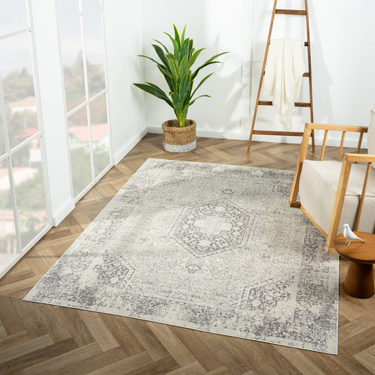 Aria-82422 Transitional Power-Loomed Gray Latex Indoor Area Rug - LR Home
