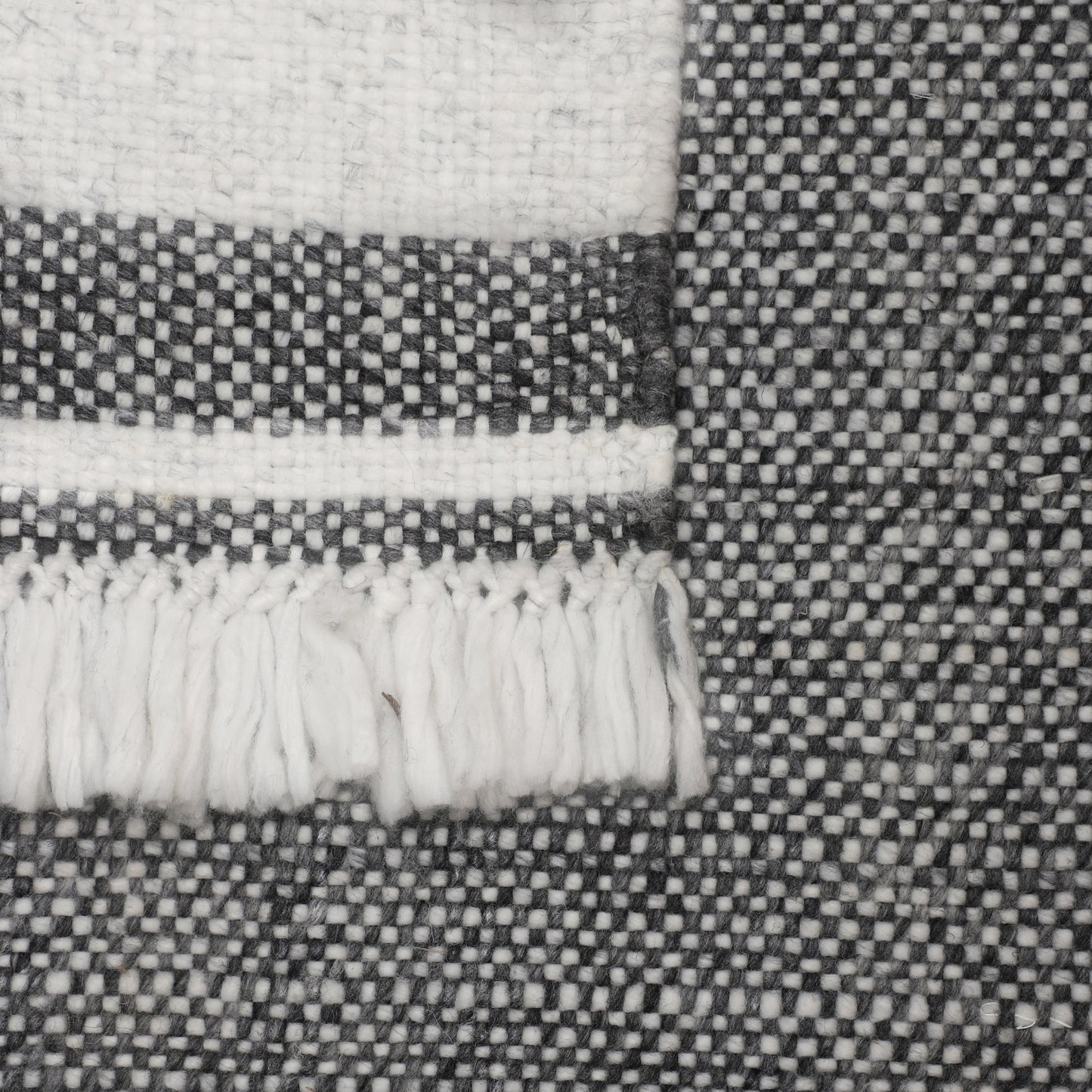 ASBUR-82373 Farmhouse Hand-Woven Charcoal Synthetic Indoor/Outdoor Area Rugs - LR Home