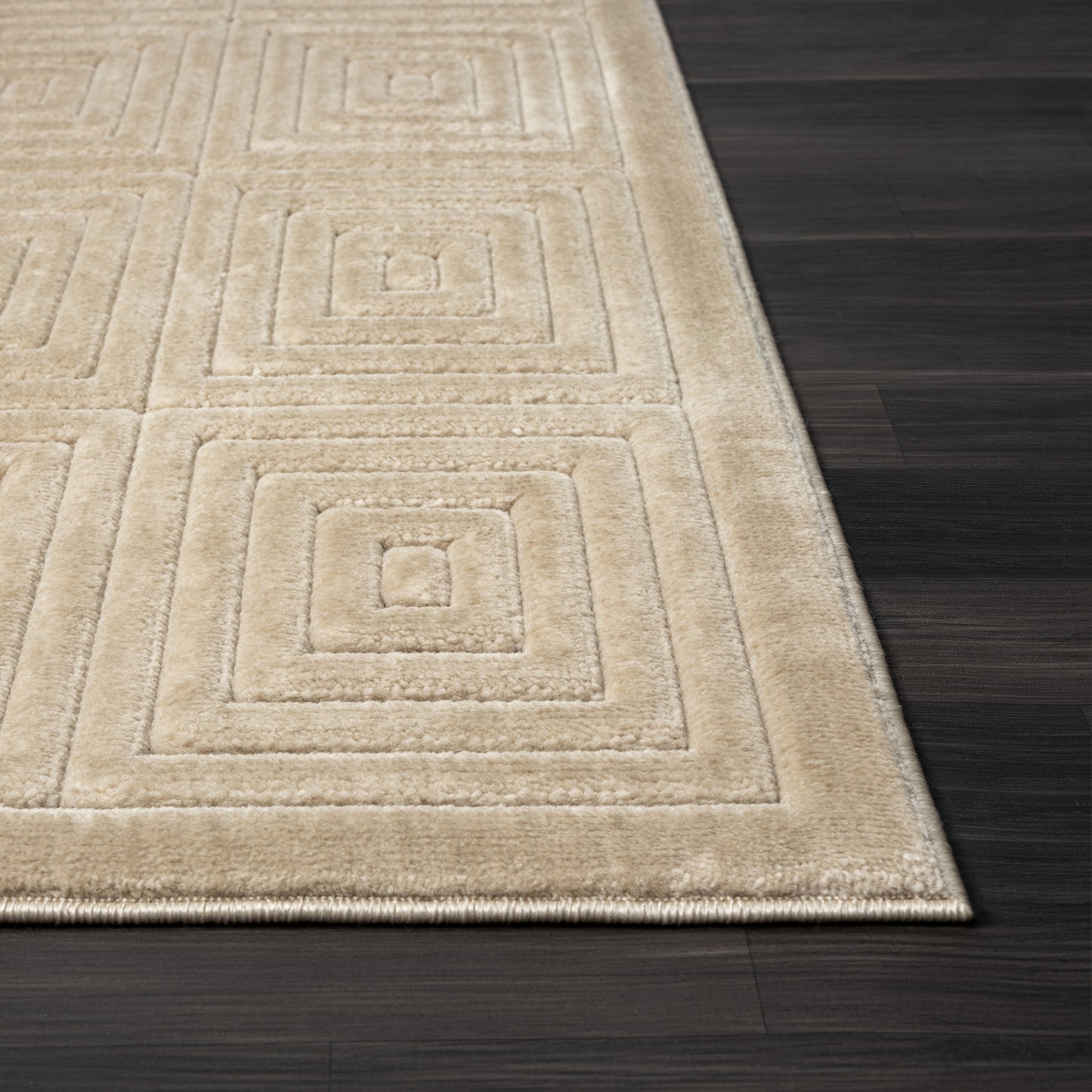 Atlas-82416 Contemporary Power-Loomed Beige Polypropylene Indoor/Outdoor Area Rug - LR Home