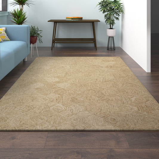 Aurora-82384 Modern Hand-Tufted Beige Cotton Indoor Area Rug - LR Home