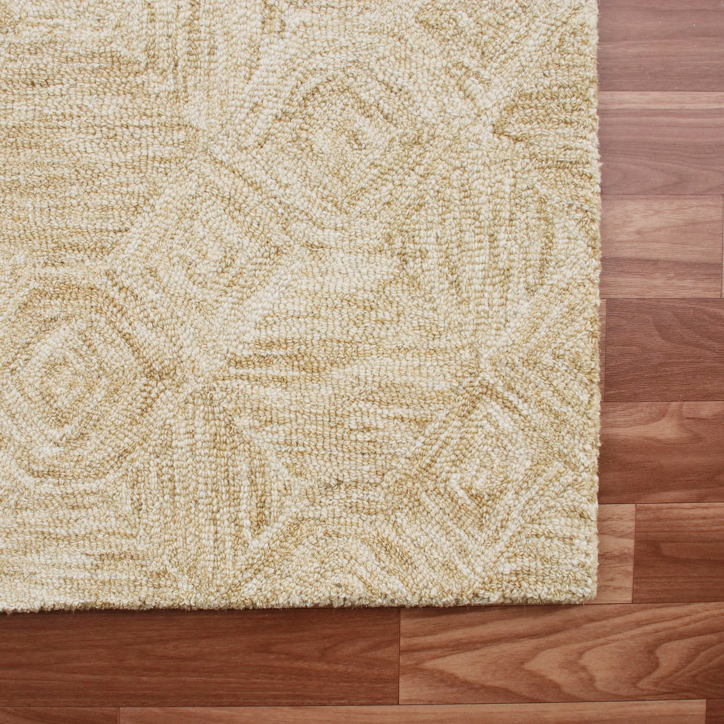 Aurora-82384 Modern Hand-Tufted Beige Cotton Indoor Area Rug - LR Home