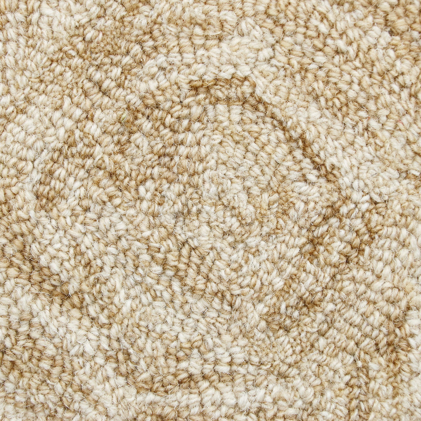 Aurora-82384 Modern Hand-Tufted Beige Cotton Indoor Area Rug - LR Home