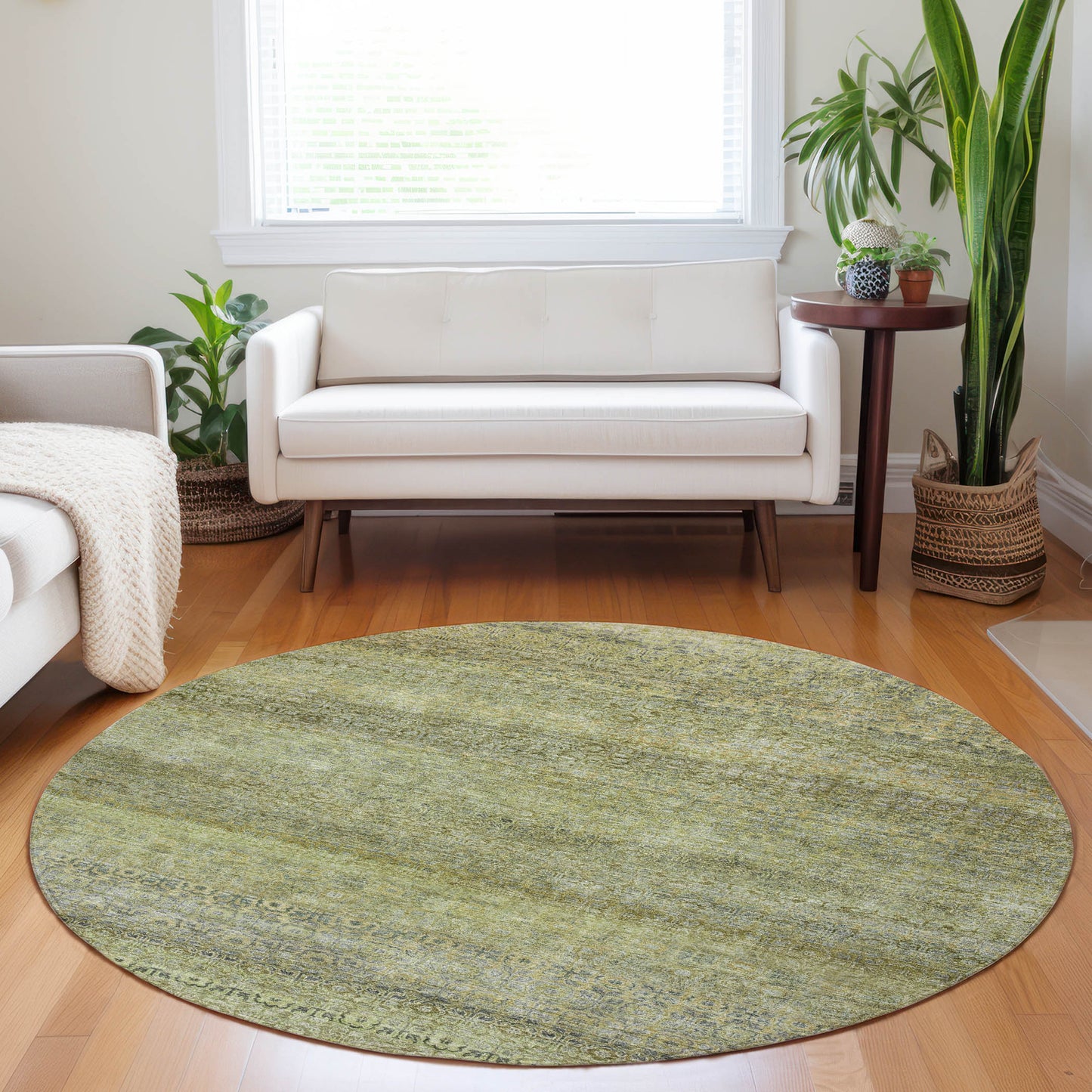 Machine Made Burano BU12 Aloe - Dalyn Rugs