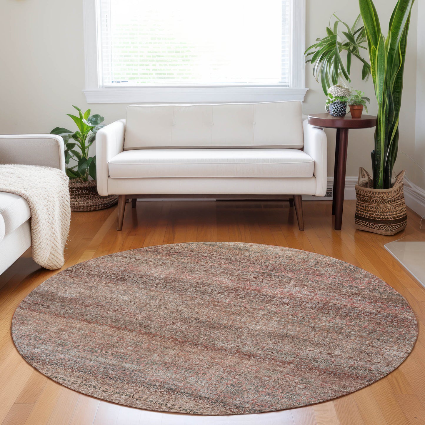 Machine Made Burano BU12 Coral - Dalyn Rugs