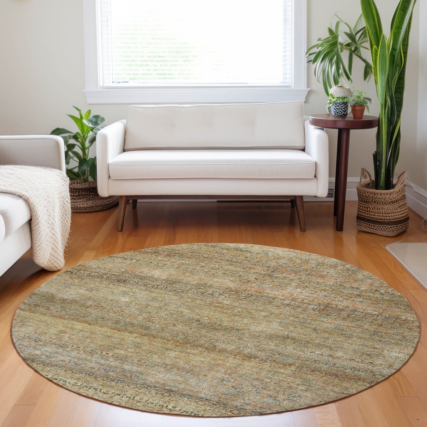Machine Made Burano BU12 Wheat - Dalyn Rugs