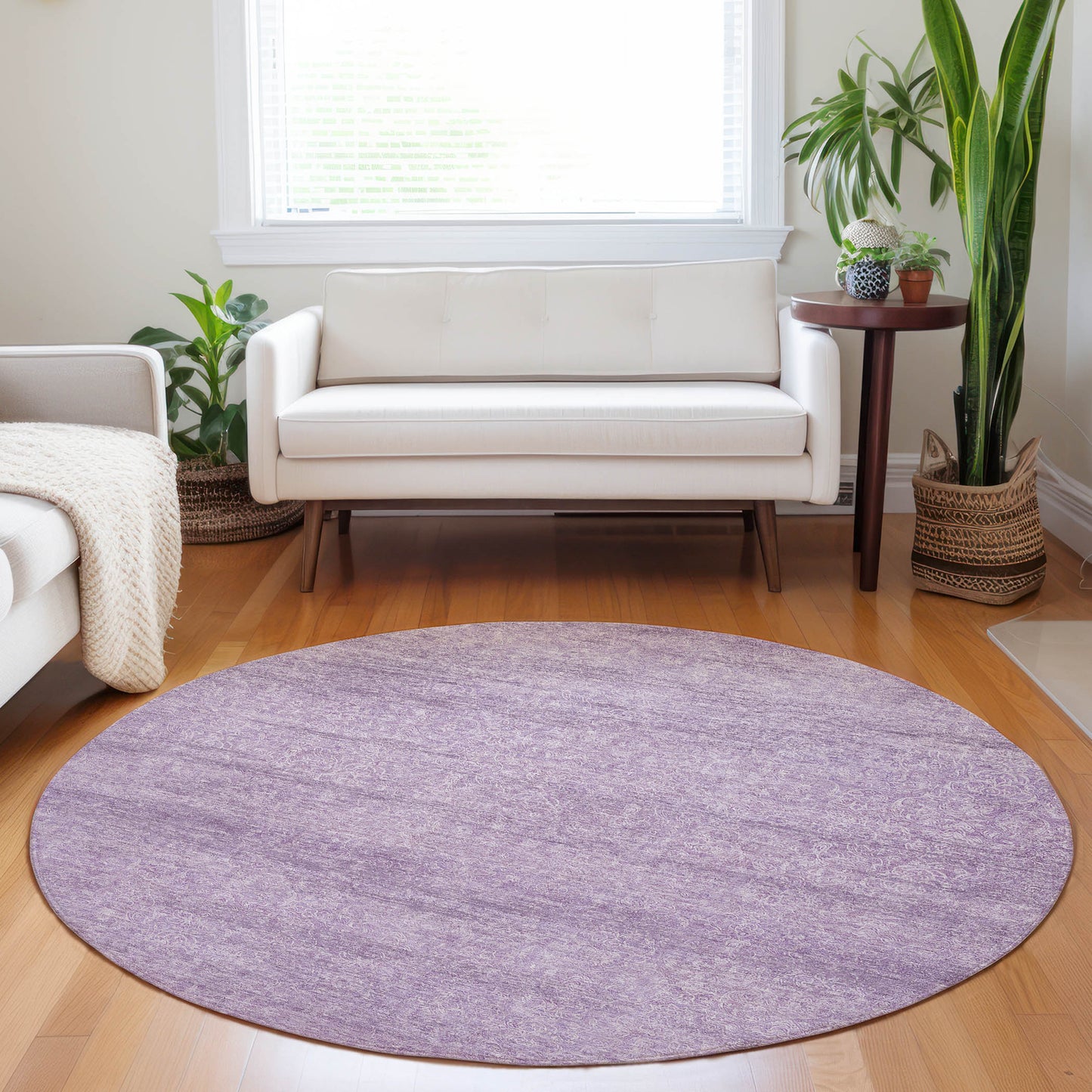 Machine Made Burano BU1 Lavender - Dalyn Rugs