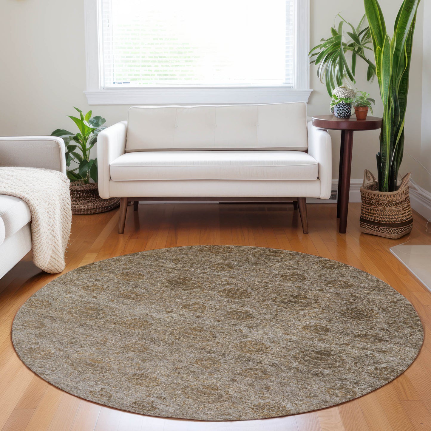 Machine Made Burano BU8 Brown - Dalyn Rugs