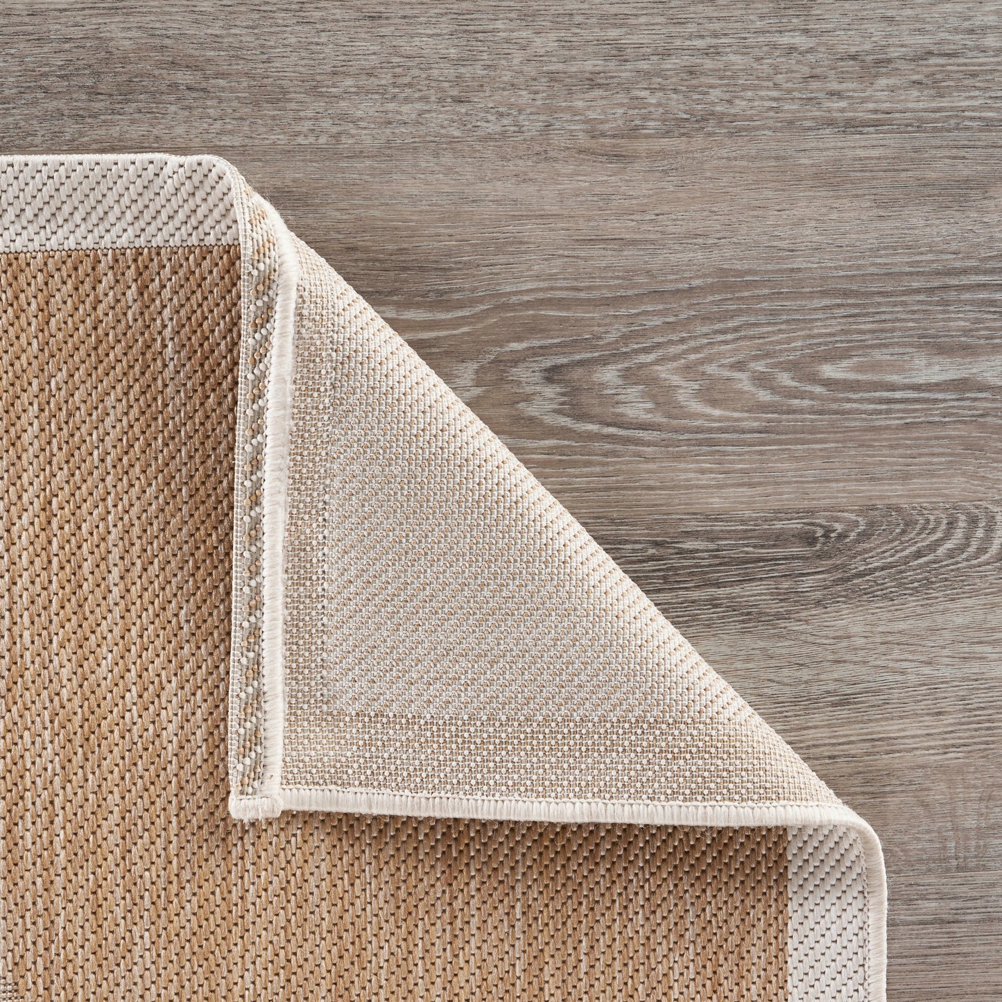 Catalina-81501 Tropical Power-Loomed Beige Polypropylene Indoor/Outdoor Area Rug - LR Home