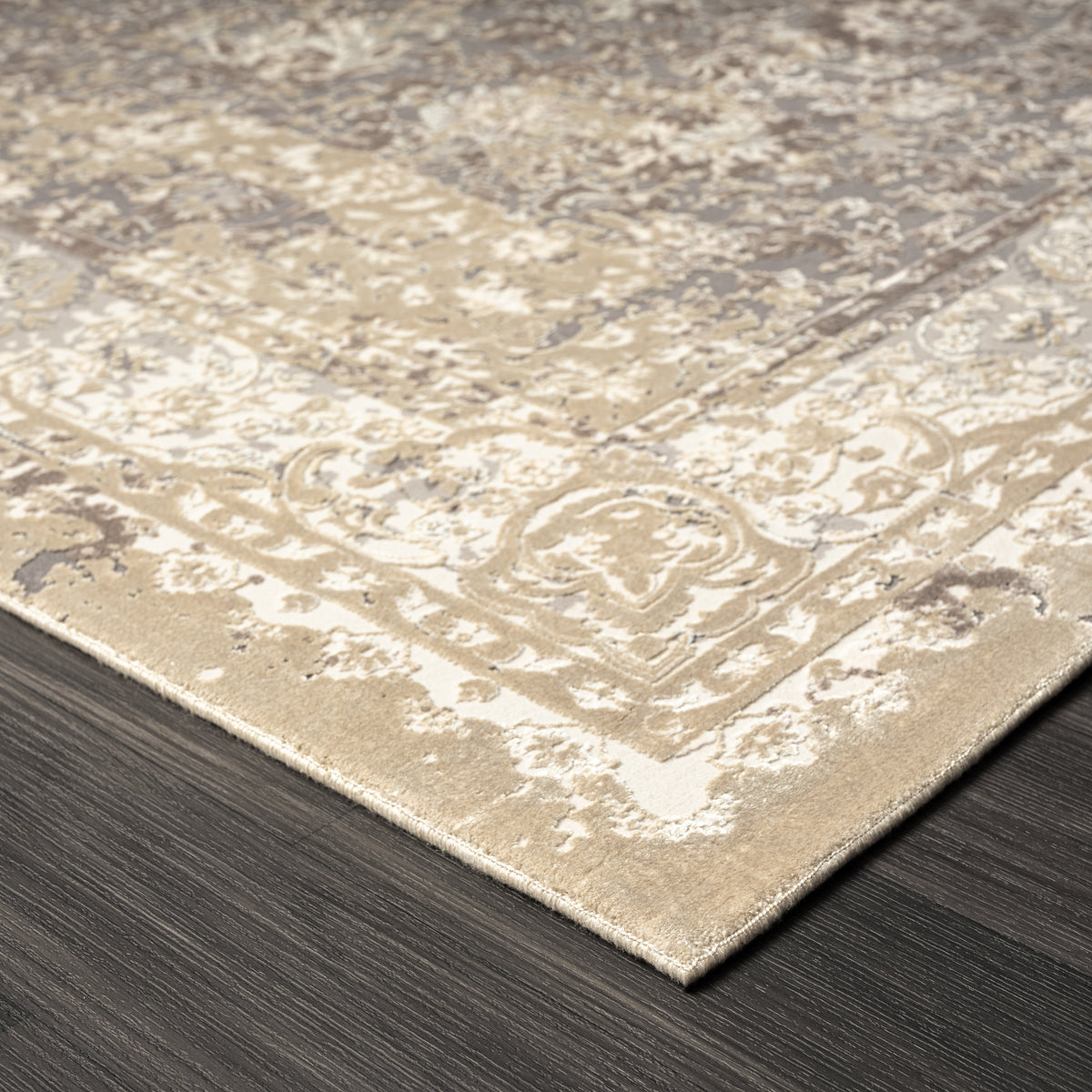 Cheshire Grey Floral/Botanical Classic/Traditional Luxelon Blend Area Rug - side angle view