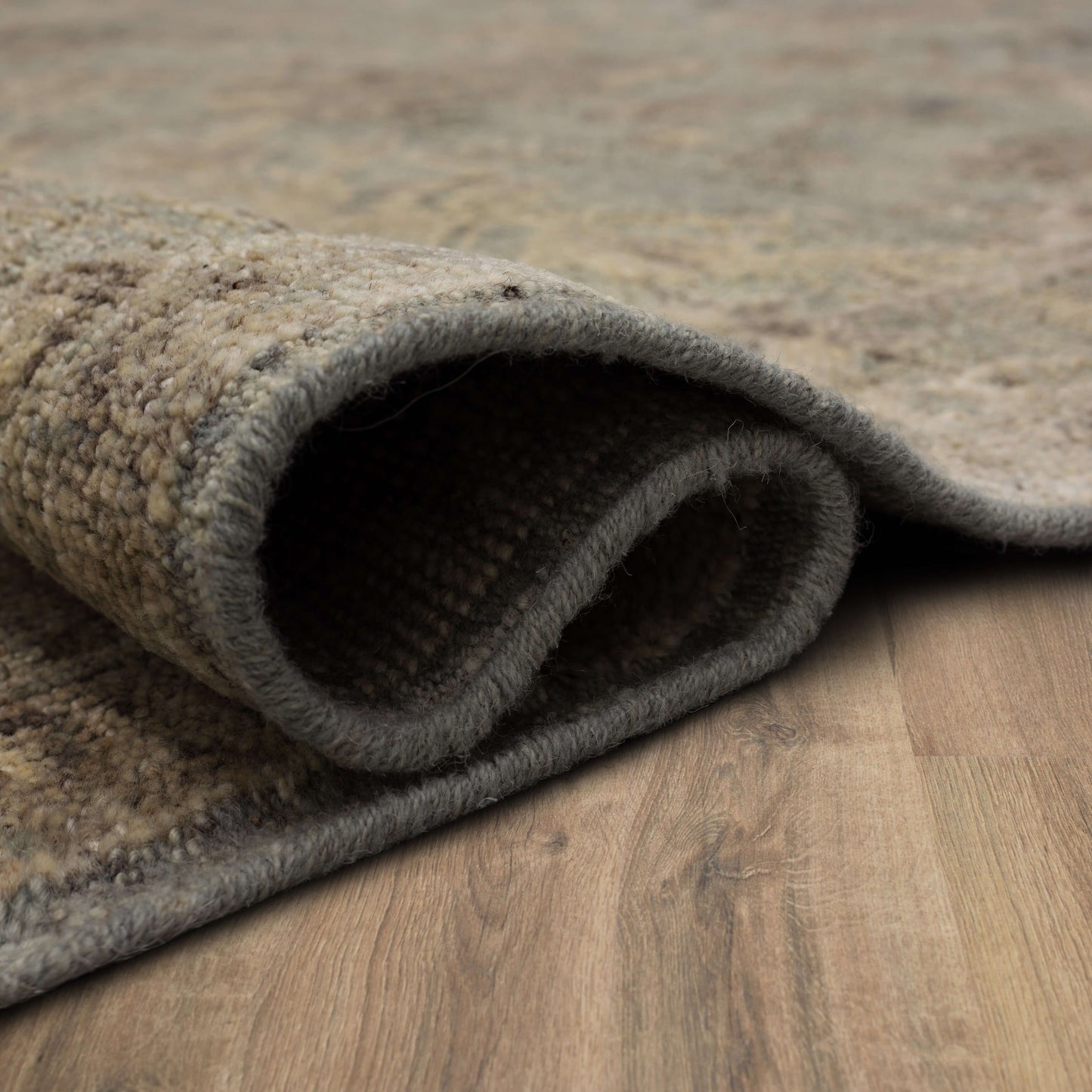 Charu Gray Area Rug - Karastan