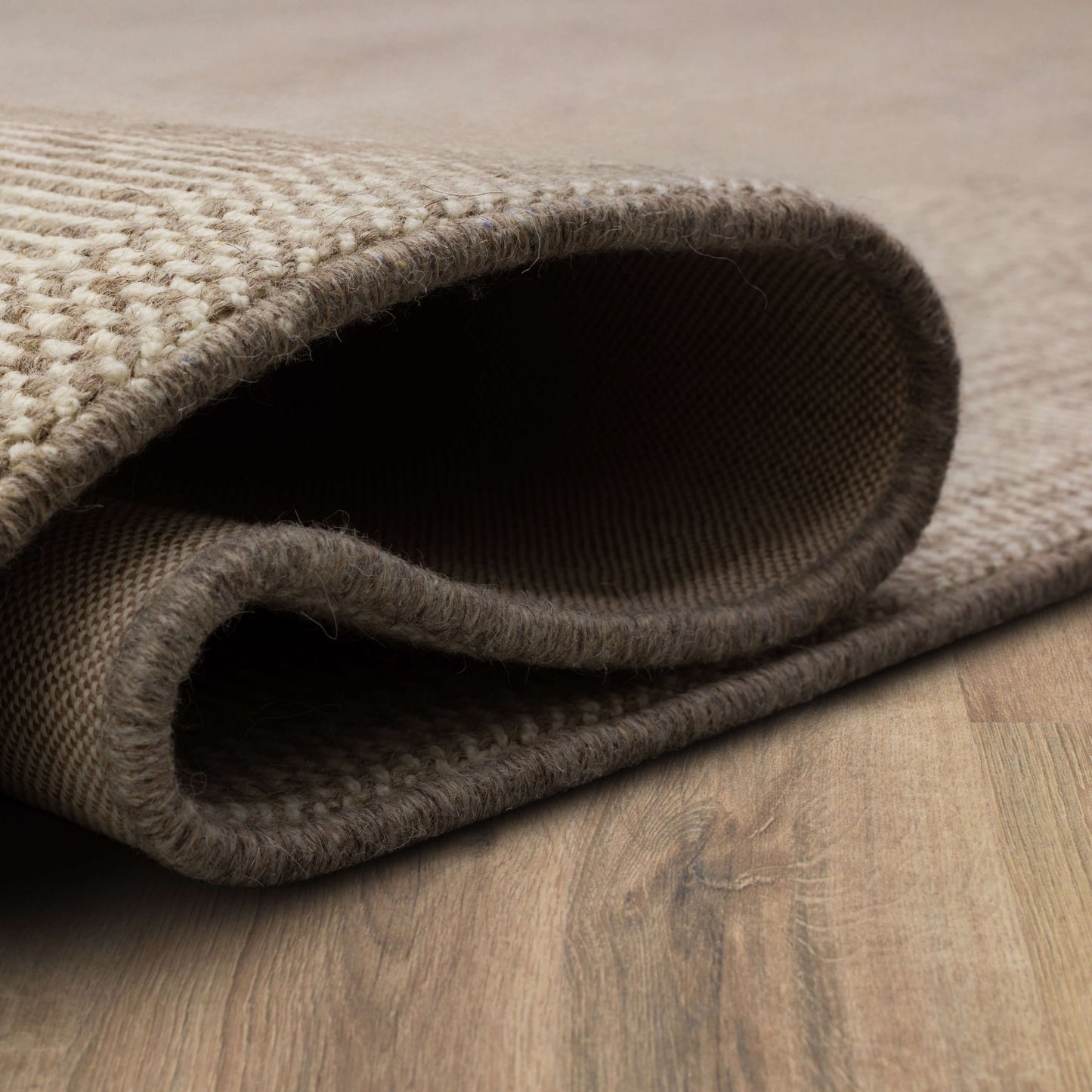 Collinsworth Taupe Area Rug - Karastan