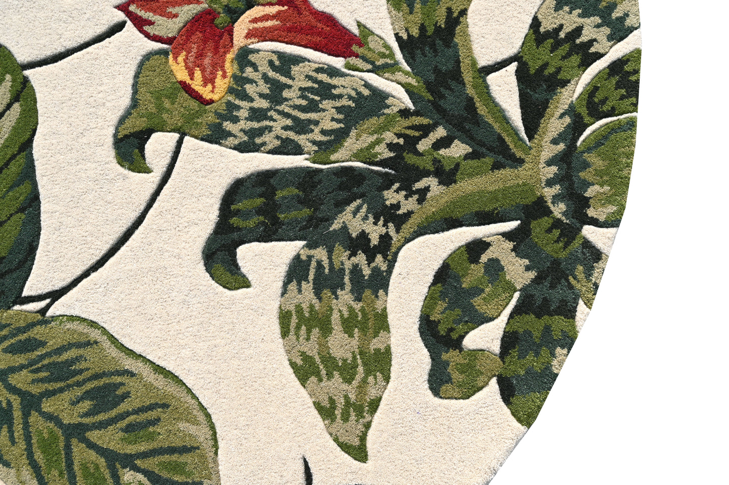 Avalon 5619 Ivory/Brown Wonder Machine Woven Performance Area Rug - KAS