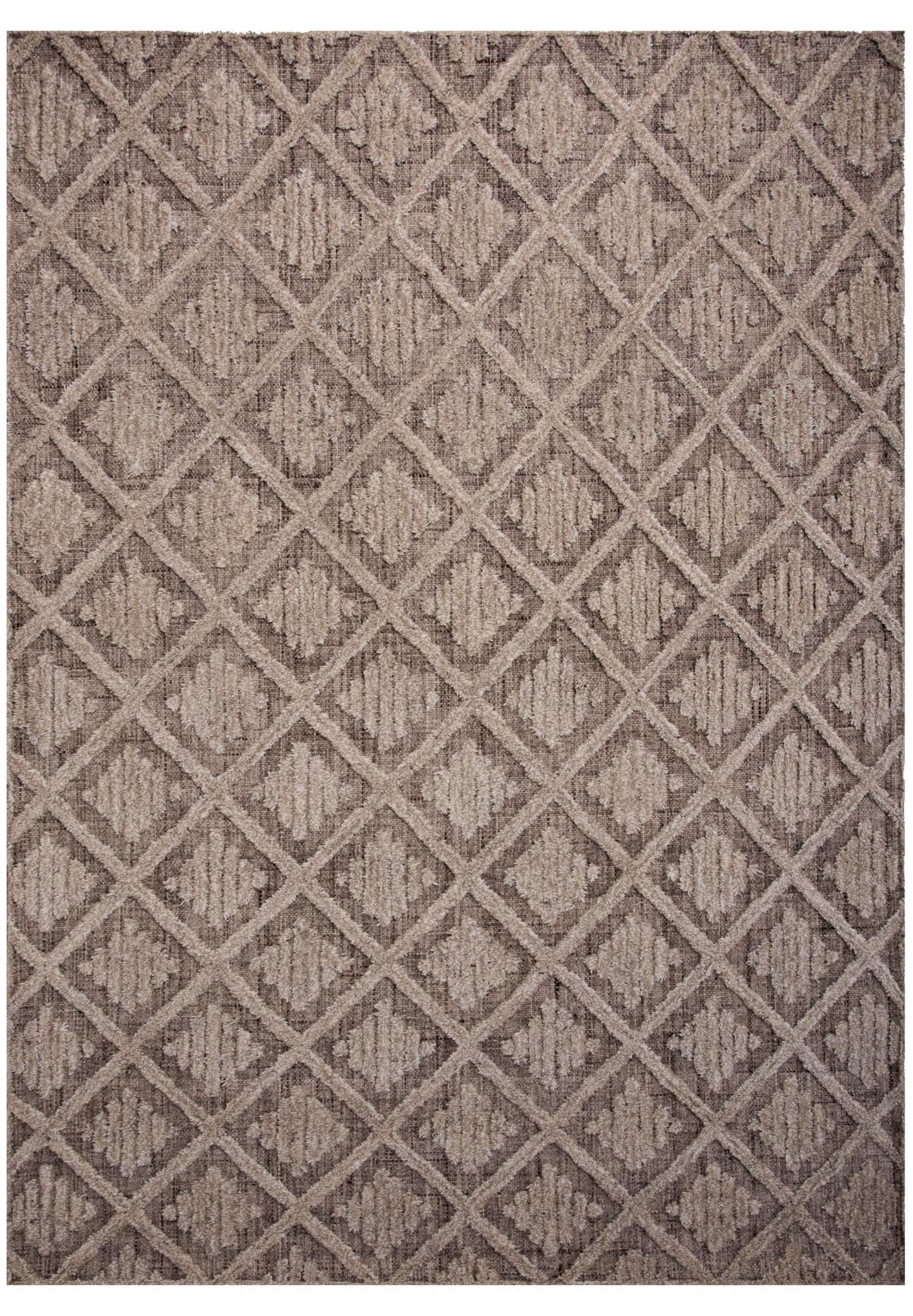Driftwood DRI688 Brown Hand-Tufted Rug - Rizzy