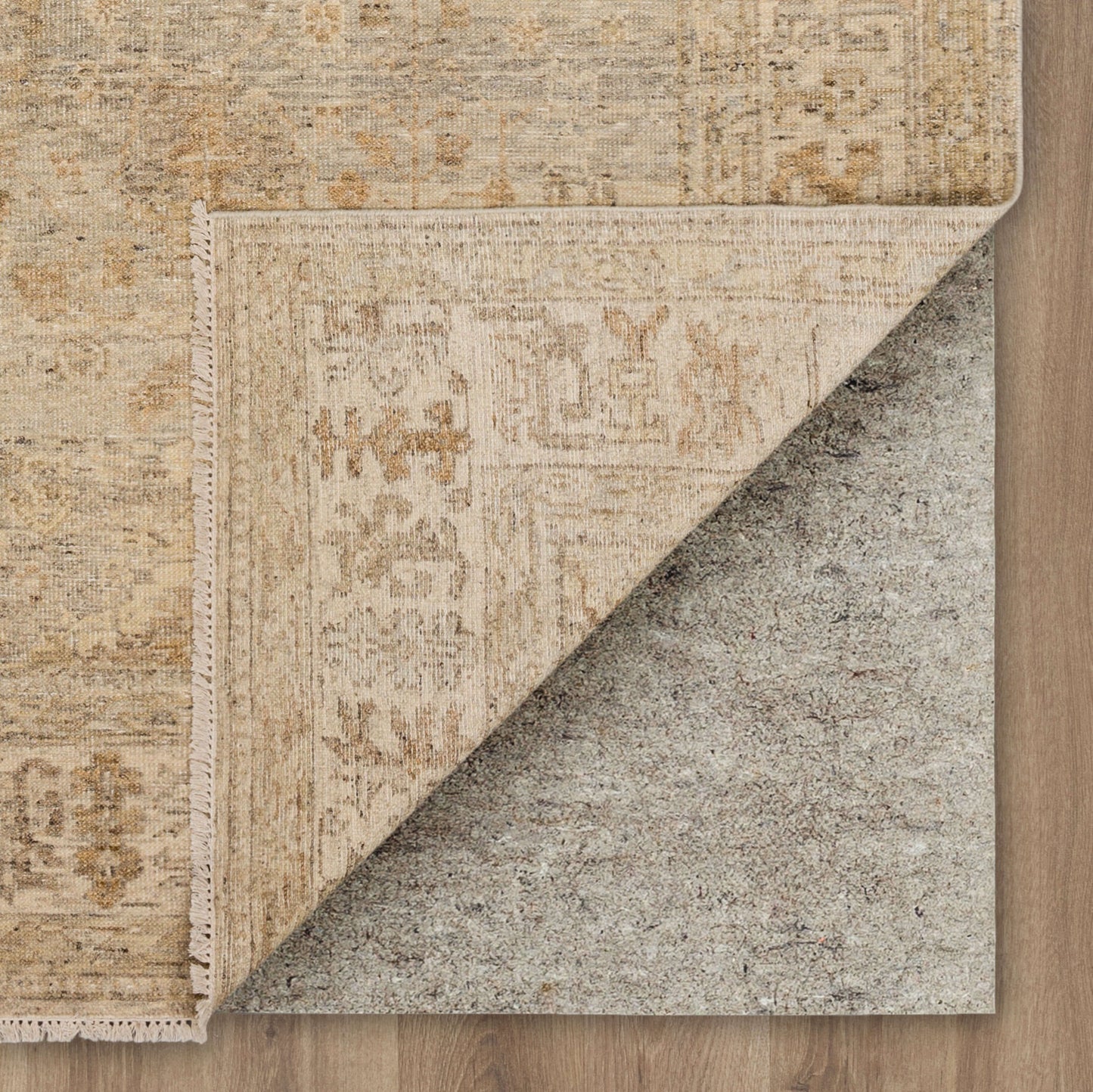 Dayalu Silver Area Rug - Karastan
