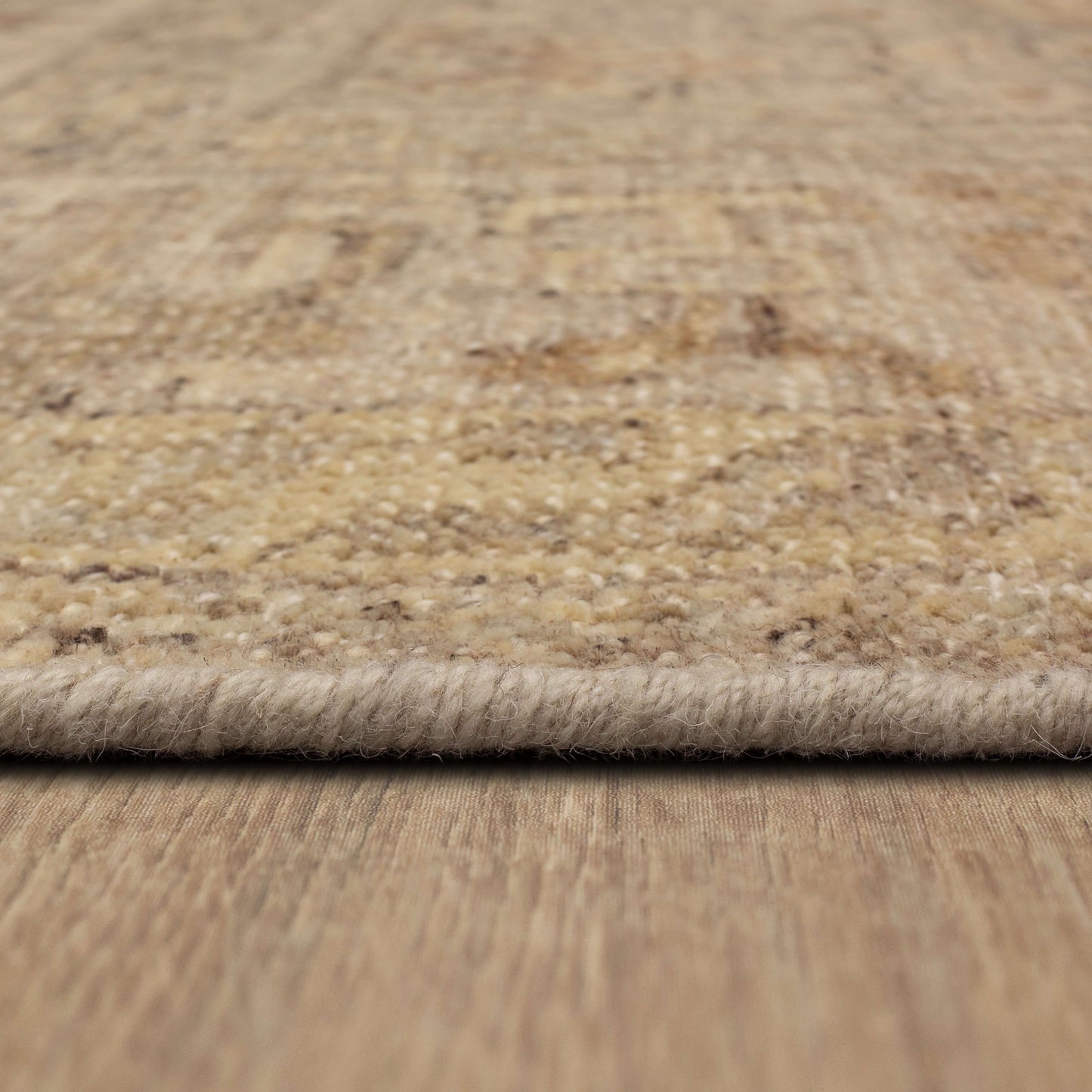 Dayalu Silver Area Rug - Karastan