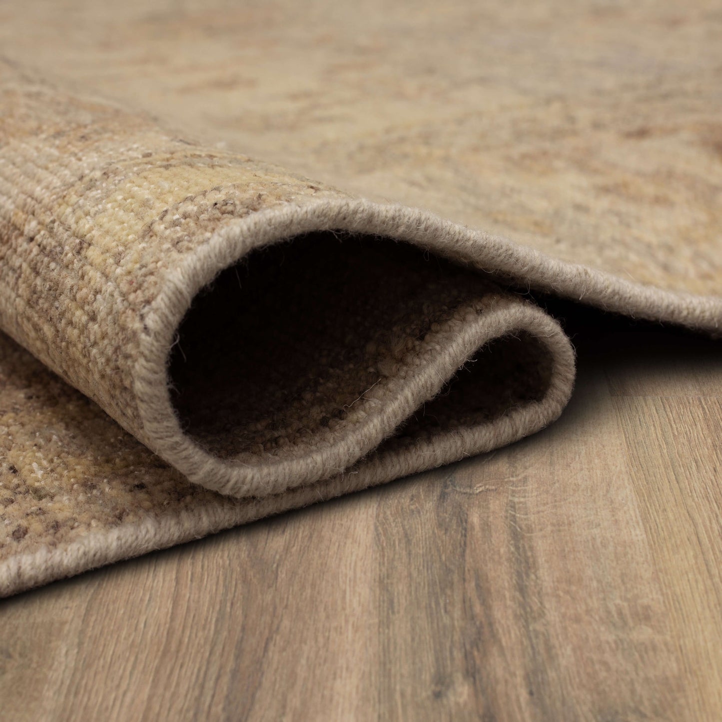 Dayalu Silver Area Rug - Karastan