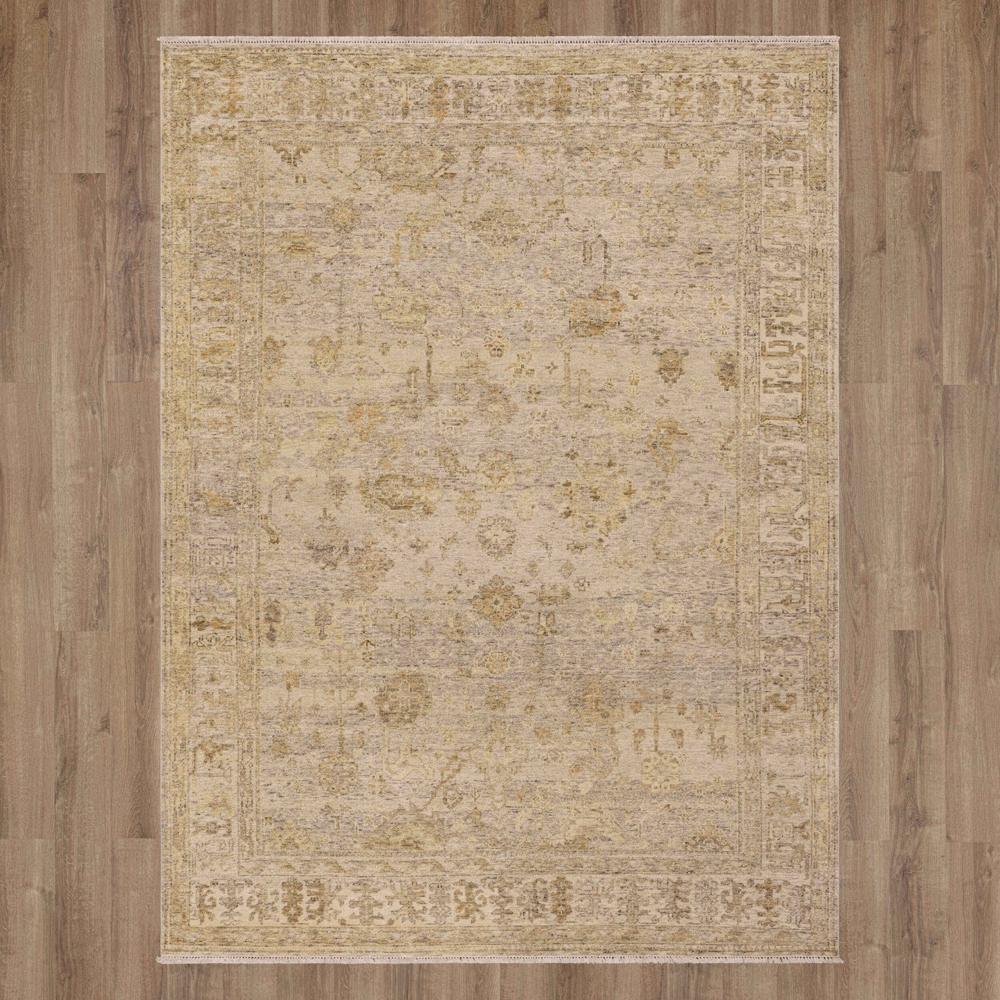 Dayalu Silver Area Rug - Karastan