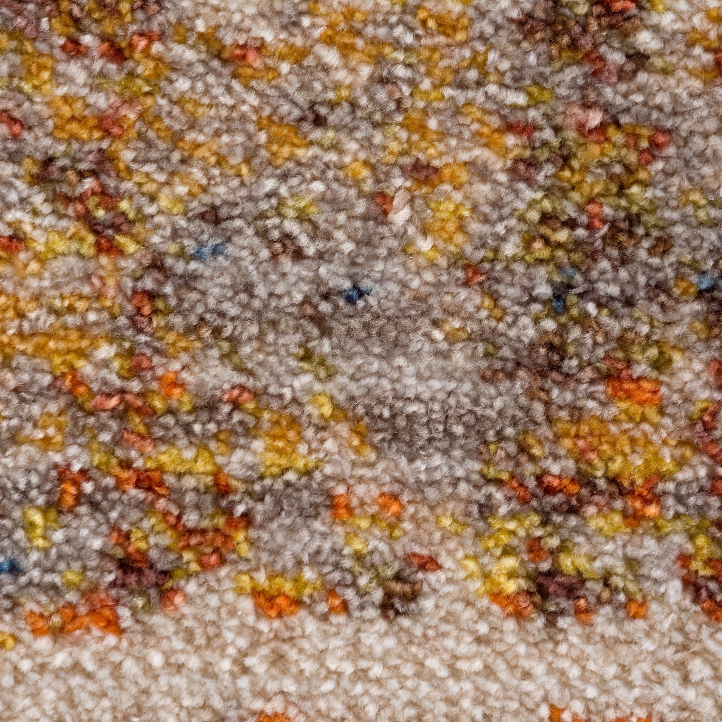 HOLIC-81775 Transitional/Casual Machine Made Ivory/Beige/Multi Polyester Indoor Area Rugs - LR Home