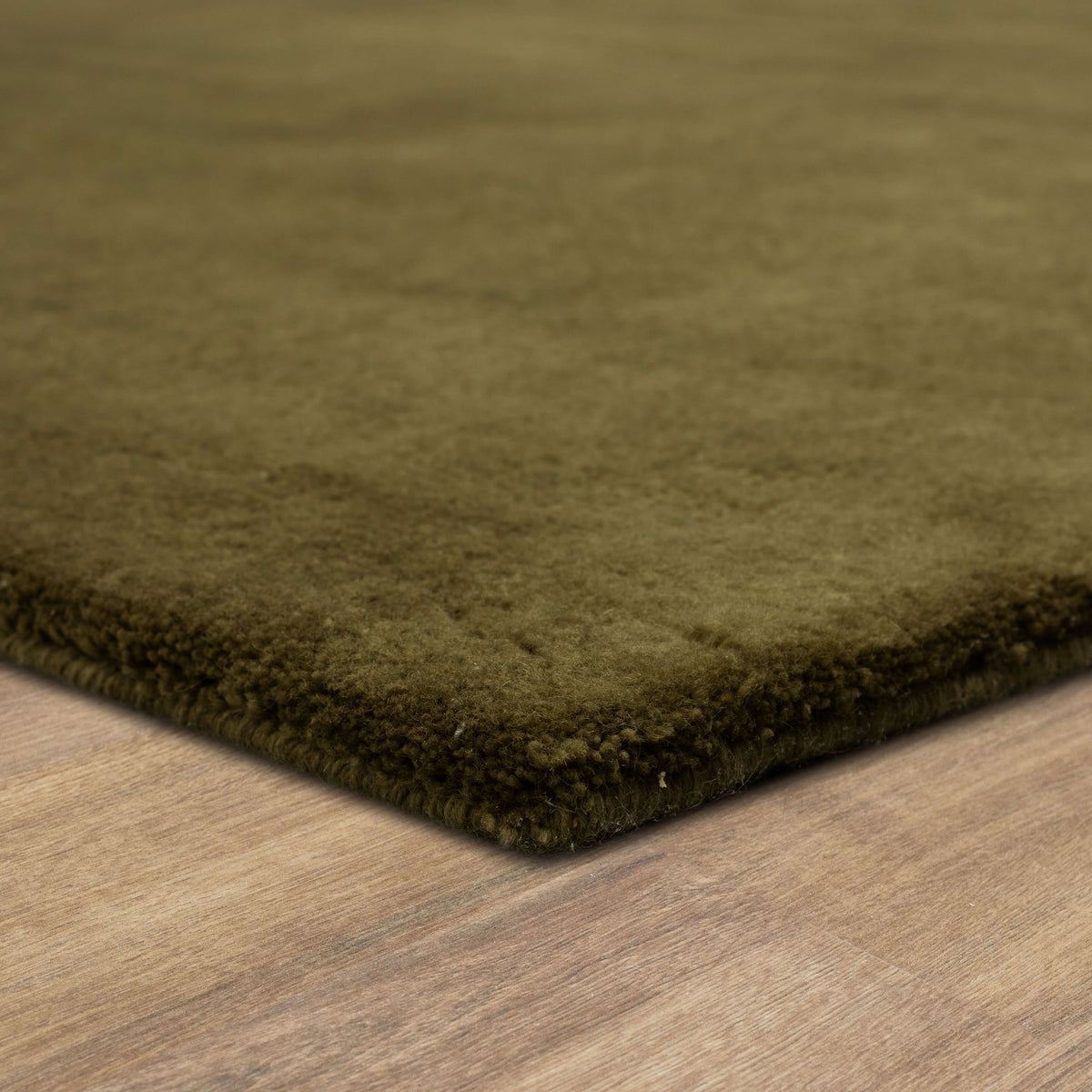 Hudson Moss Area Rug