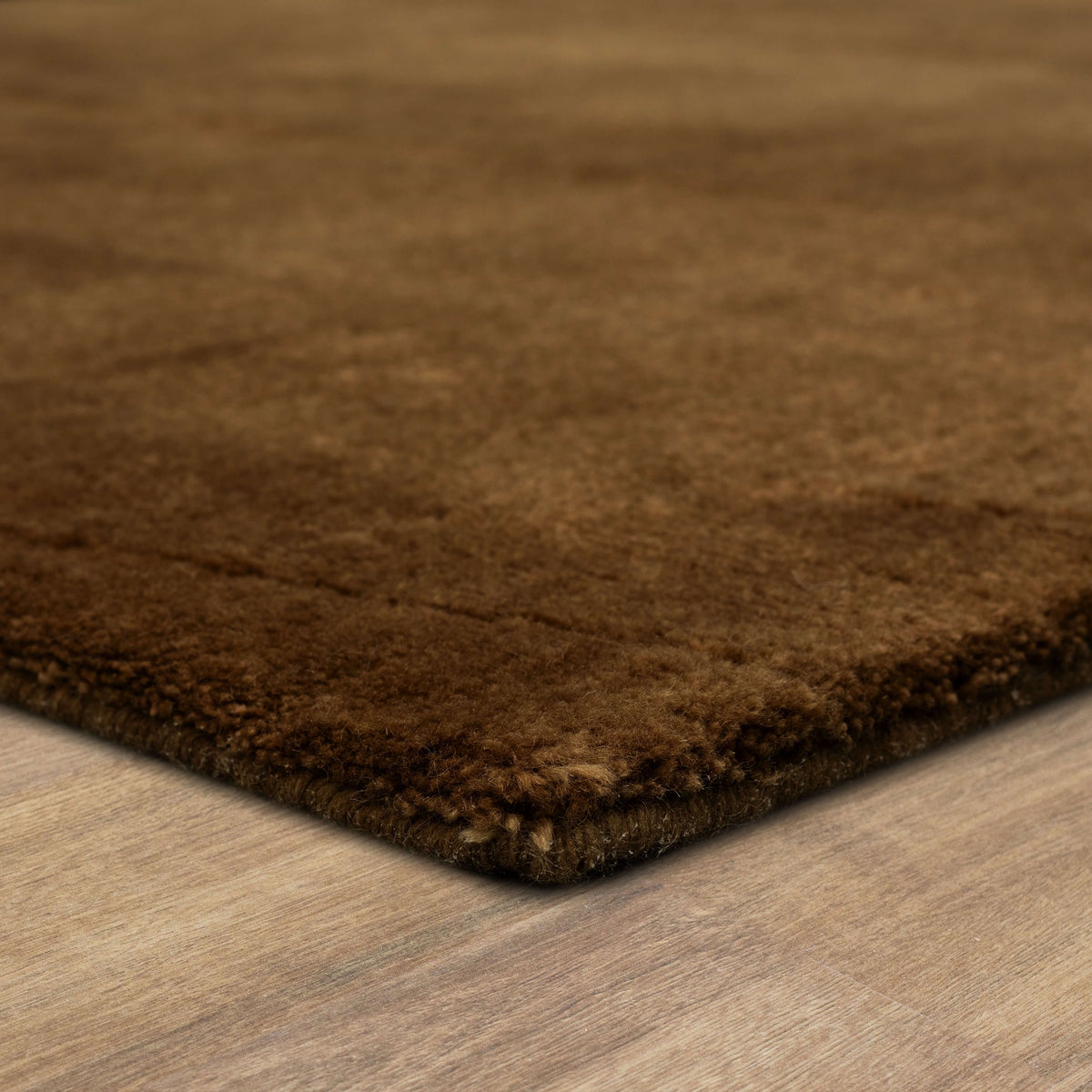Hudson Sienna Area Rug
