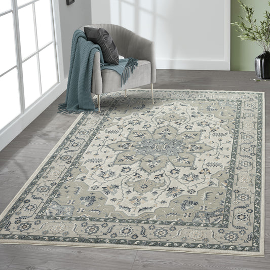 Imagine-81524 Traditional Power-Loomed Gray/Cream/Ivory Cotton Indoor Area Rug - LR Home